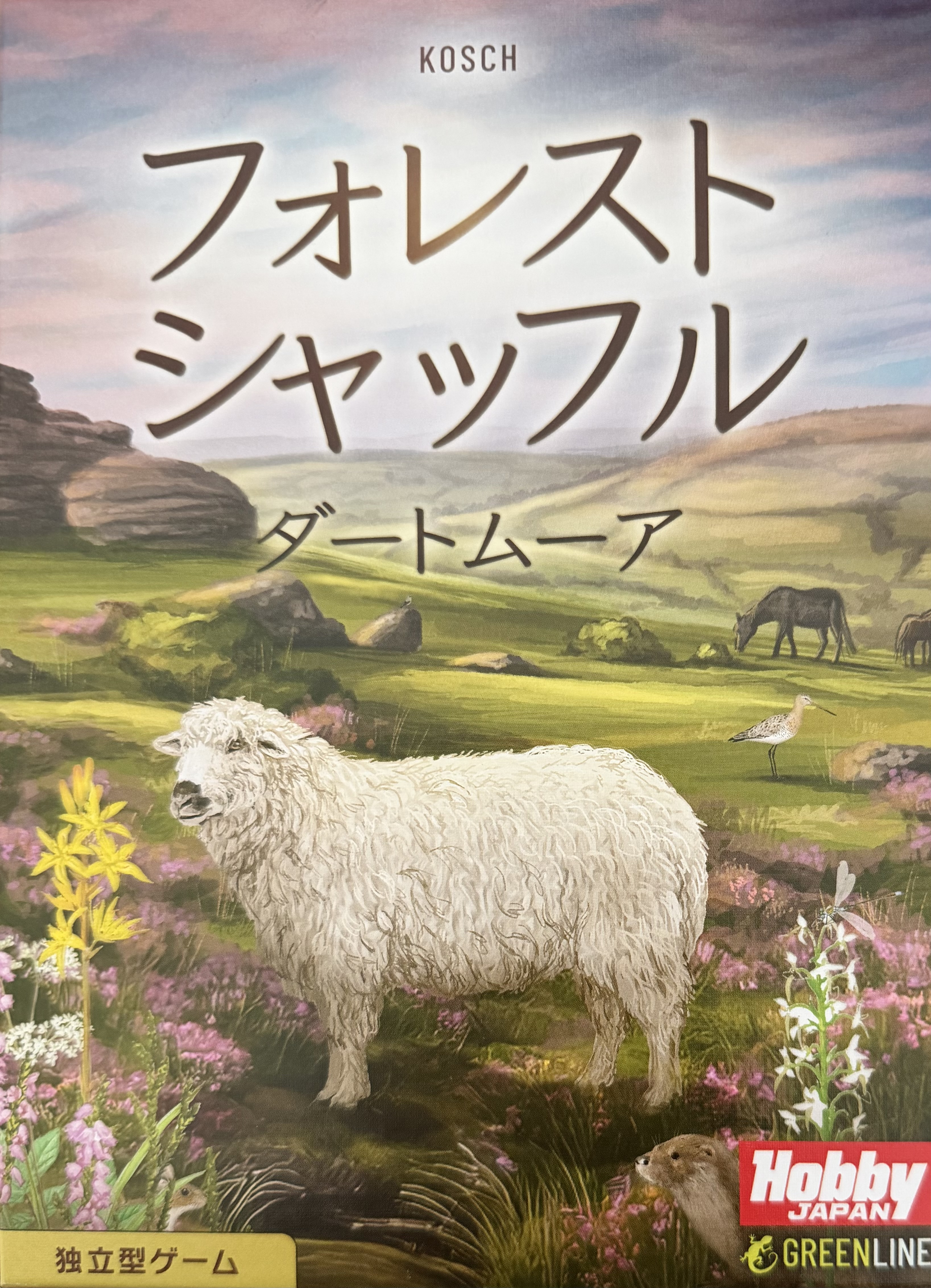 フォレスト シャッフル ダートムーアボックス表