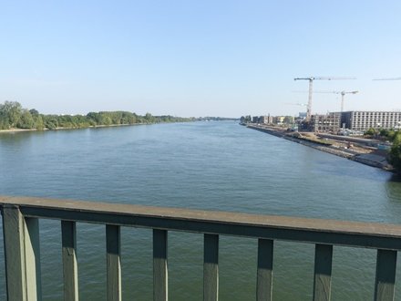 Rhein20240920.JPG