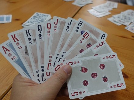 Canasta20241218.JPG