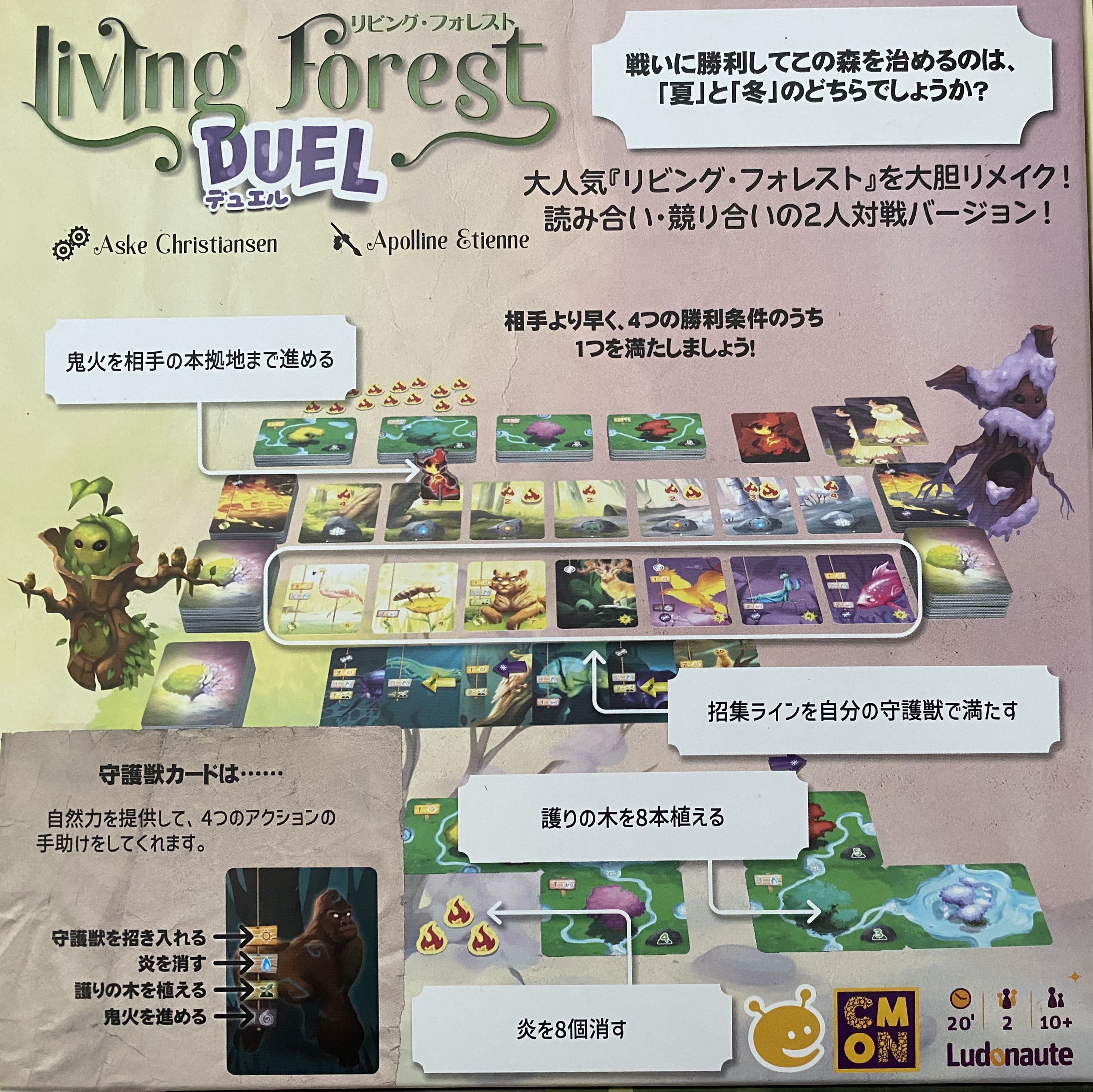 リビング フォレスト デュエルボックス裏