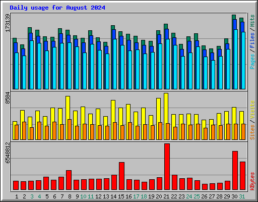 Daily usage for August 2024