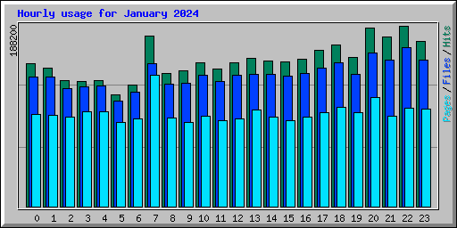 Hourly usage for January 2024