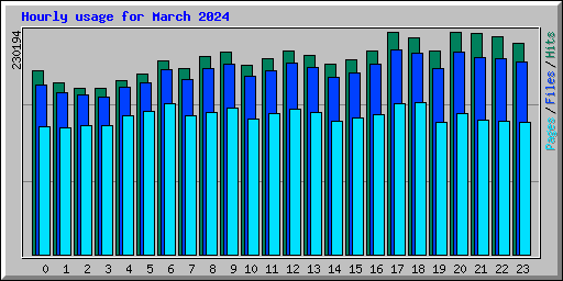 Hourly usage for March 2024