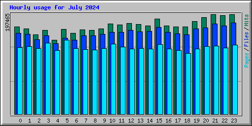 Hourly usage for July 2024