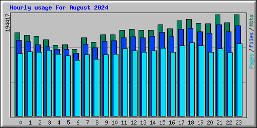 Hourly usage for August 2024