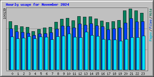 Hourly usage for November 2024