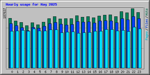 Hourly usage for May 2025