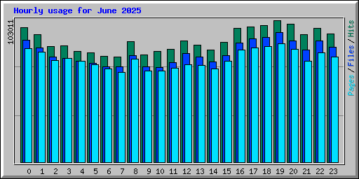 Hourly usage for June 2025