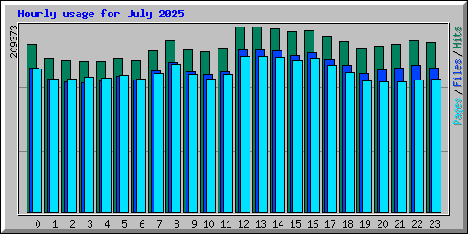 Hourly usage for July 2025