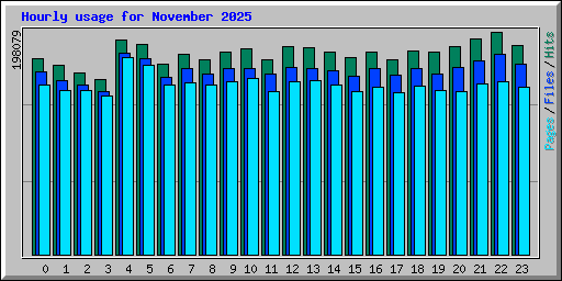 Hourly usage for November 2025