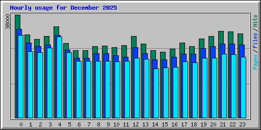Hourly usage for December 2025