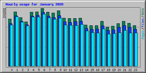 Hourly usage for January 2026